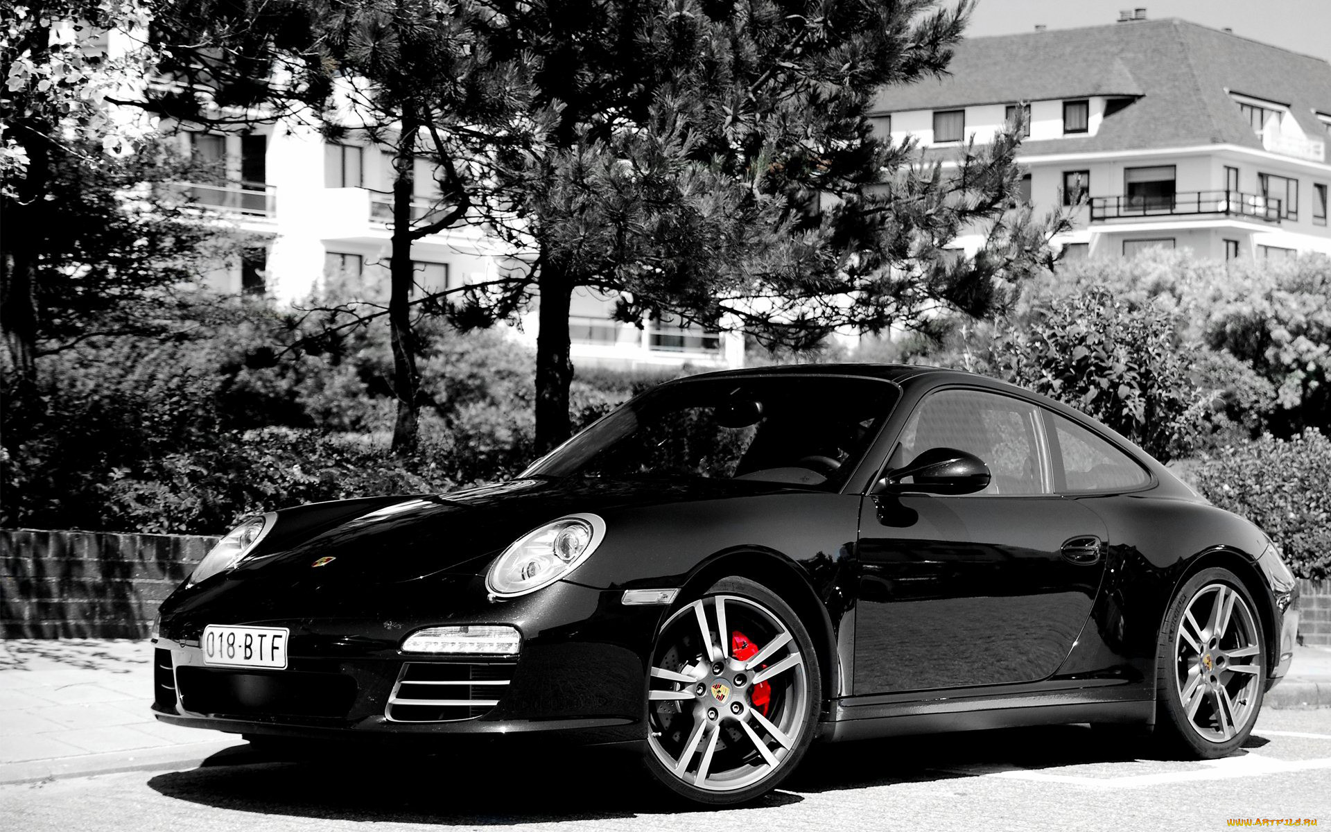 porsche, 911, carrera, , , , 